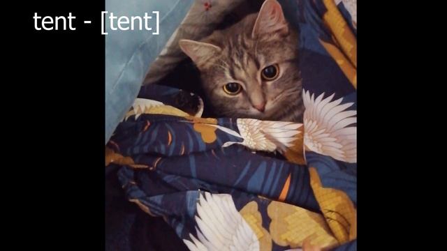 Английская транскрипция