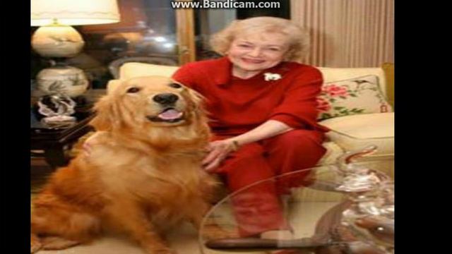 Топ 10 самых богатых домашних животных. смотреть онлайн