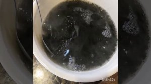 Как солят чёрную икру. Засолка чёрной икры...