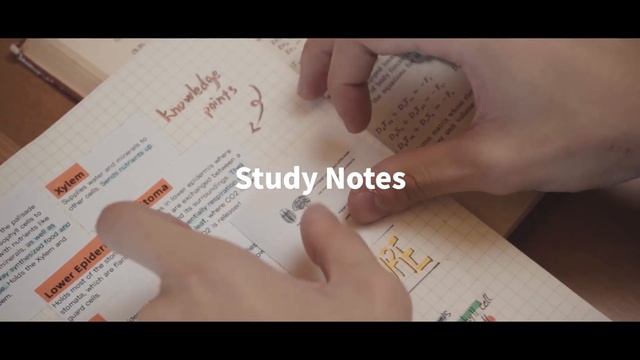 Phomemo T02 Mini Portable Thermal Printer Introduction Video смотреть онлайн