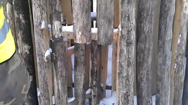 ловушка для волков смотреть онлайн