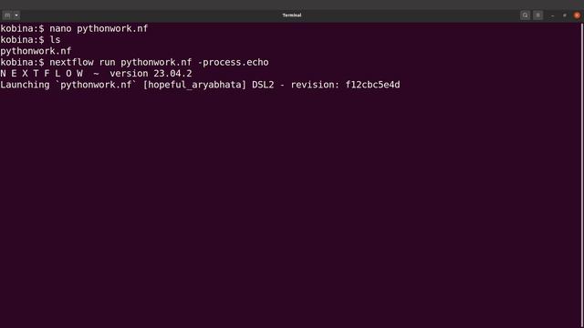 How to Run Python Commands in Nextflow смотреть онлайн