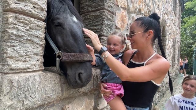 Все что осталось от видео с замка 😭. Постараемся еще раз съездить и заново Вам заснять 🤞. смотреть онлайн