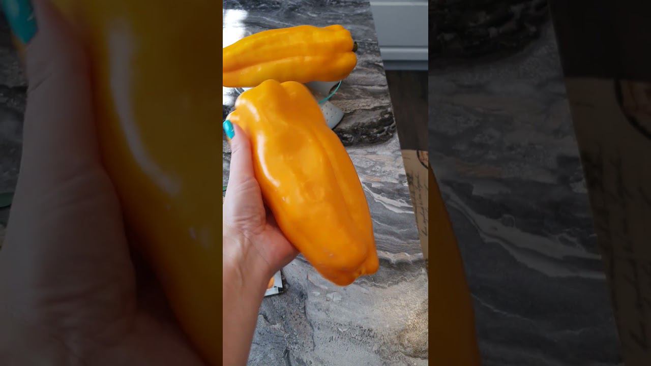 Русский гигант жёлтый. смотреть онлайн