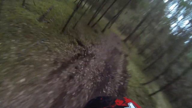 Domas Bukavičius training run смотреть онлайн