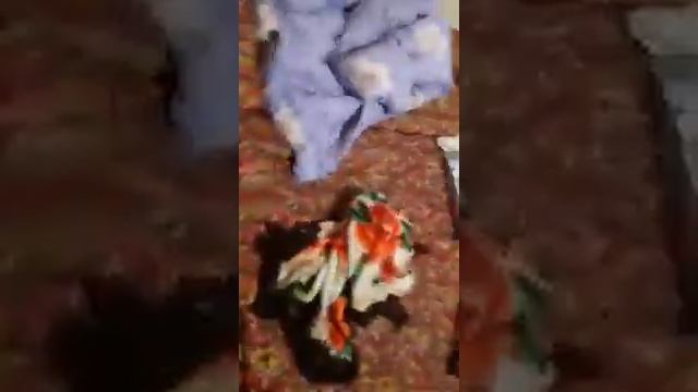 Ойнасымен усталып калды! Усындайлардын кесиринен бузылады каншама семялар смотреть онлайн