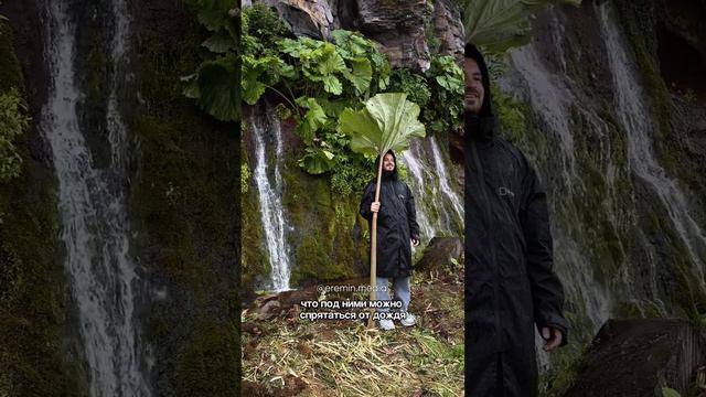 Ну где еще в России можно найти такие места? смотреть онлайн