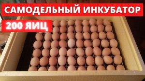 Инкубатор своими руками. Самодельный инкубатор.