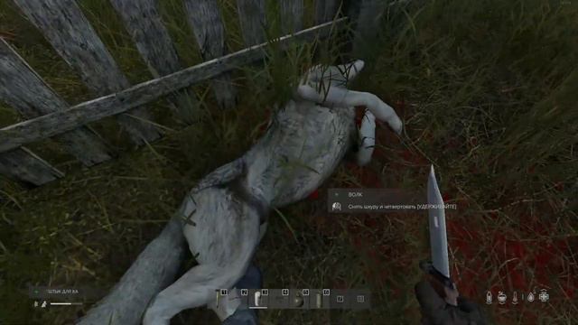 Жиза в DayZ
