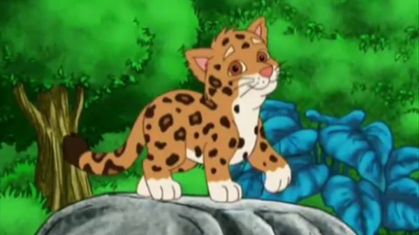 Go Diego Go Jaguar Mountain Everyday Song