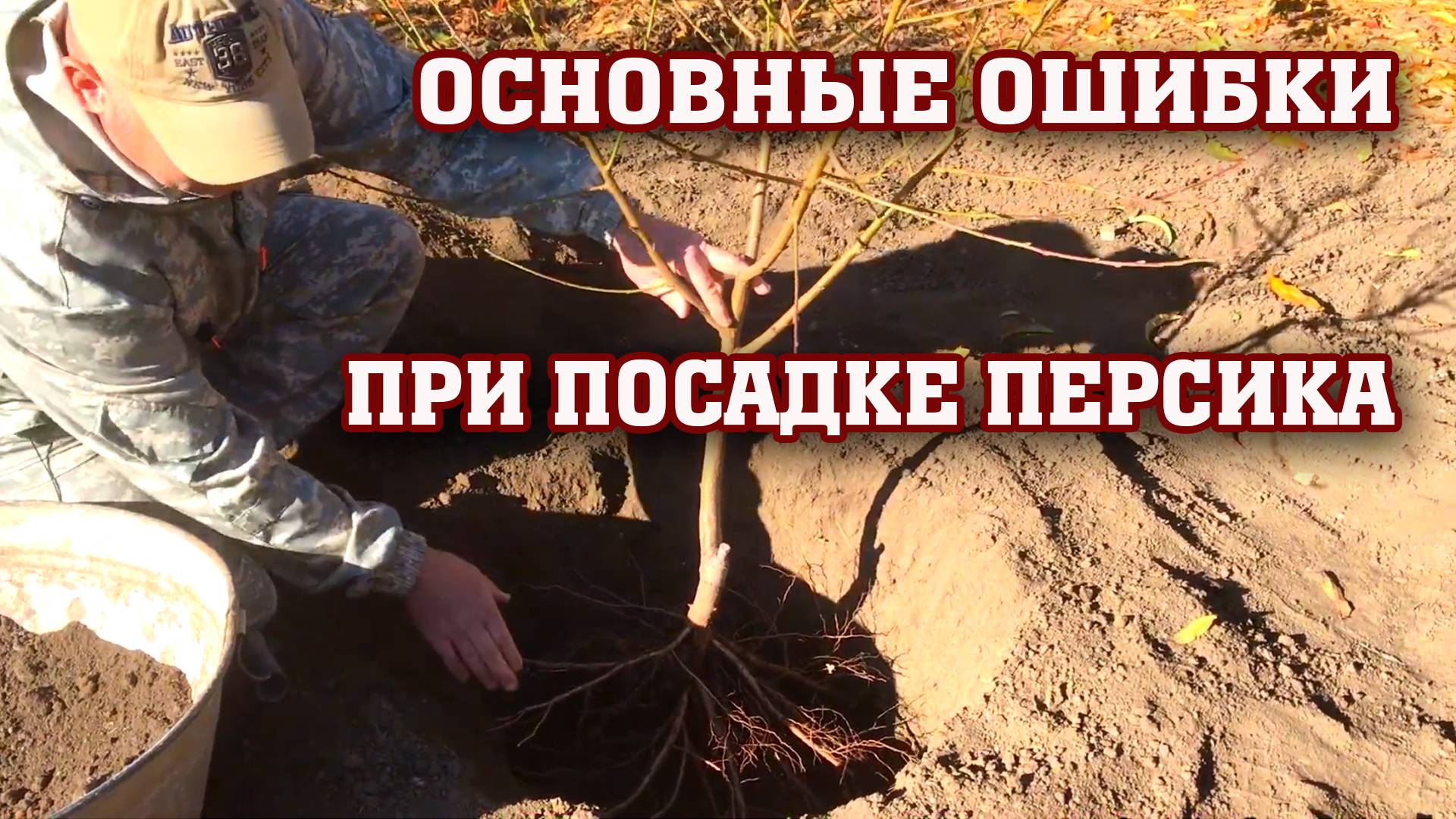 КОГДА и КАК правильно ПОСАДИТЬ ПЕРСИК!!! смотреть онлайн
