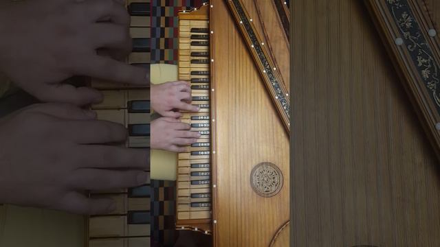 Bartolomeo Trombonicino: Animoso mio desire смотреть онлайн