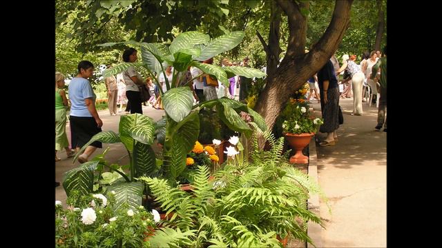 Мартин, Валерия. Самара. Россия. смотреть онлайн