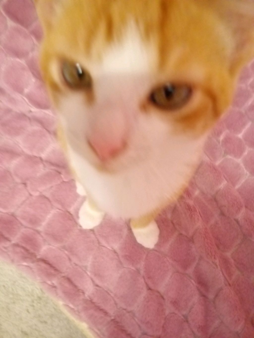 Стриптиз от Лизы