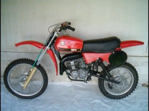 Касторовое масло для 2Т