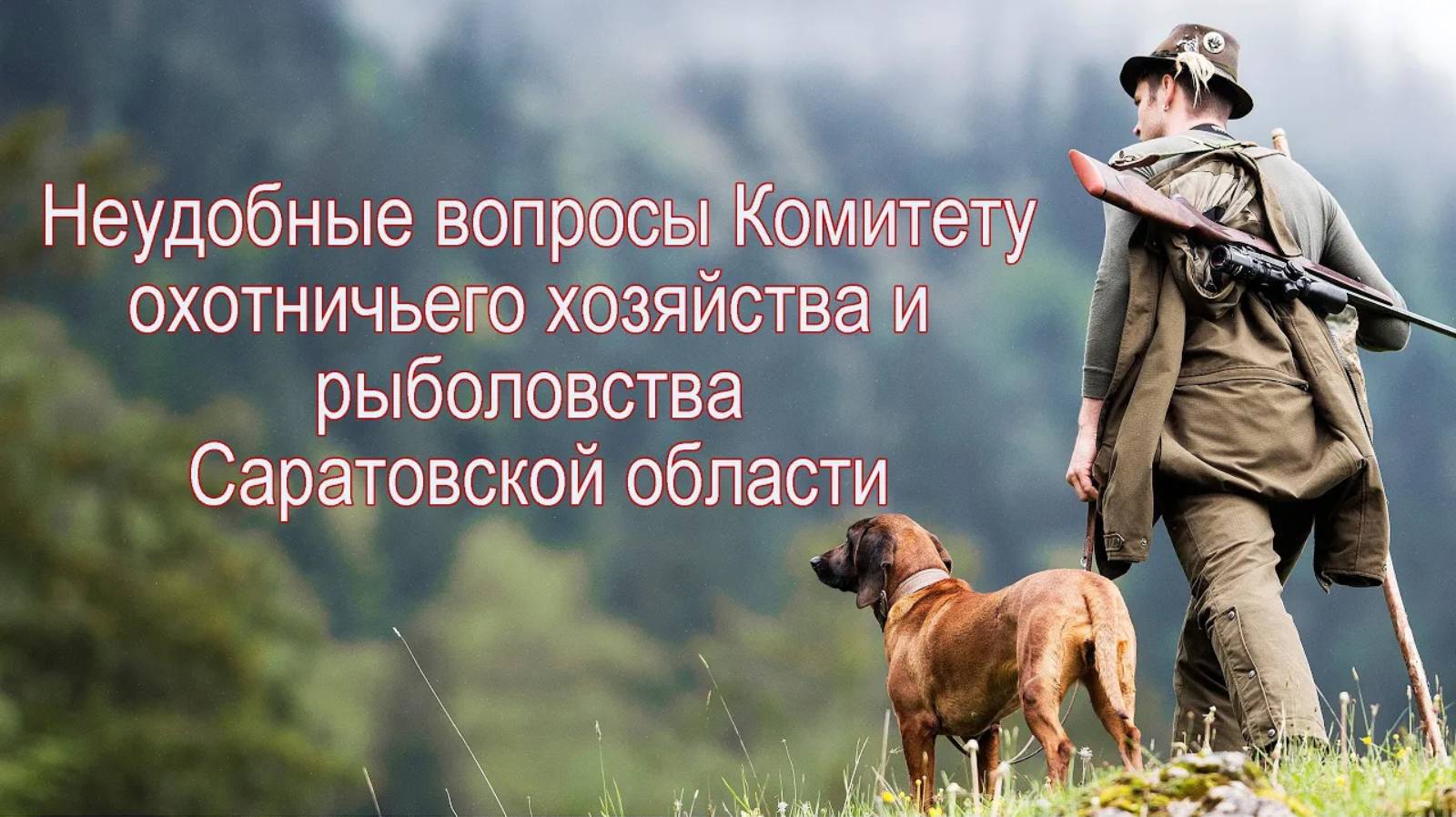 Неудобные вопросы Комитету охотничьего хозяйства и рыболовства Саратовской области смотреть онлайн