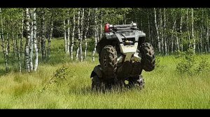 Kawasaki brute force 750 mudding