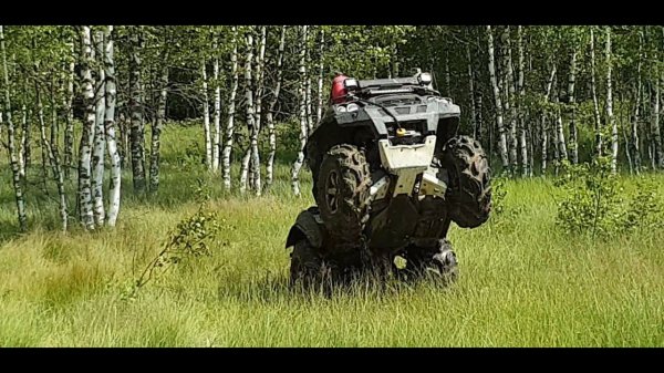Kawasaki brute force 750 mudding