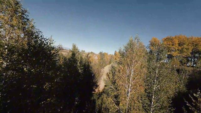 FPV Freestyle (Алтайский Колорадо)