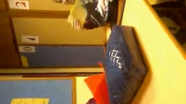 jade, aman, leanne, james penman + charlotte finch смотреть онлайн