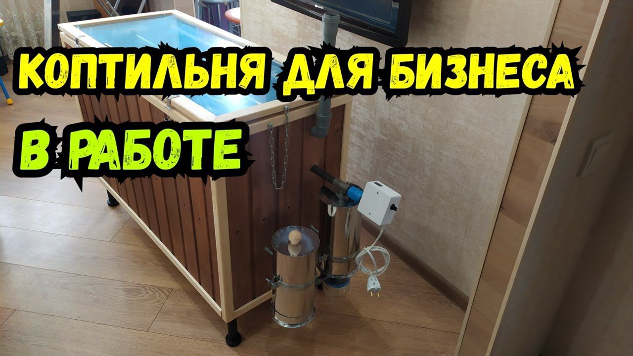 Холодное копчение курицы! Много и быстро! Электростатическая коптильня для бизнеса! смотреть онлайн