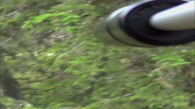 Elgjakt filmet med våpenkamera, moosekill filmed with gunmounted camera смотреть онлайн