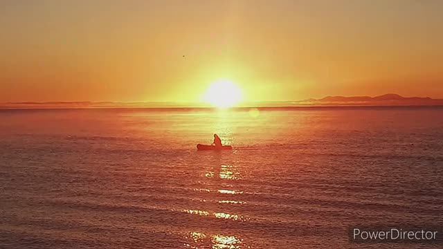 Пляж Таранай, отдых с ночевкой, красная икра смотреть онлайн