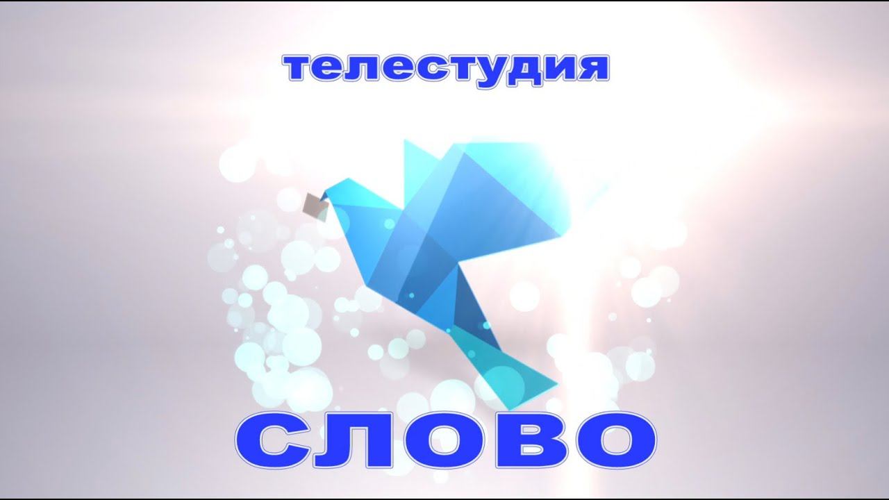 Программа "Ракурс" 24.01.2020 смотреть онлайн