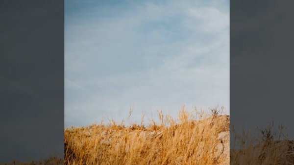 Love Is Beautifully Painful (Cover)