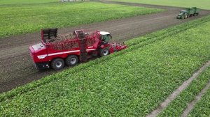 GRIMME REXOR 6300 Platinum Rübenroder / Ulrich Widmer KG / Abfahrer 2 JOHN DEERE / Altmark / 2021 4