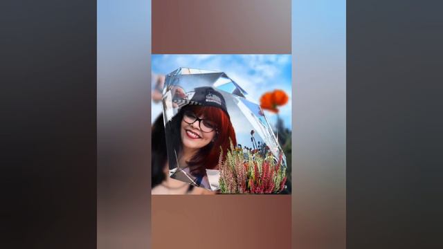 моё создание