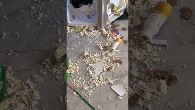 Ты не ты, когда голоден смотреть онлайн