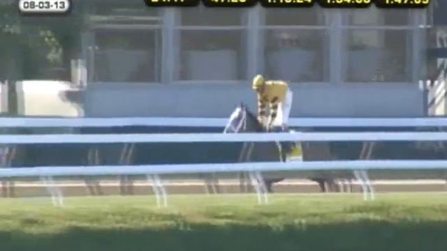 2013 Whitney Handicap - Cross Traffic смотреть онлайн