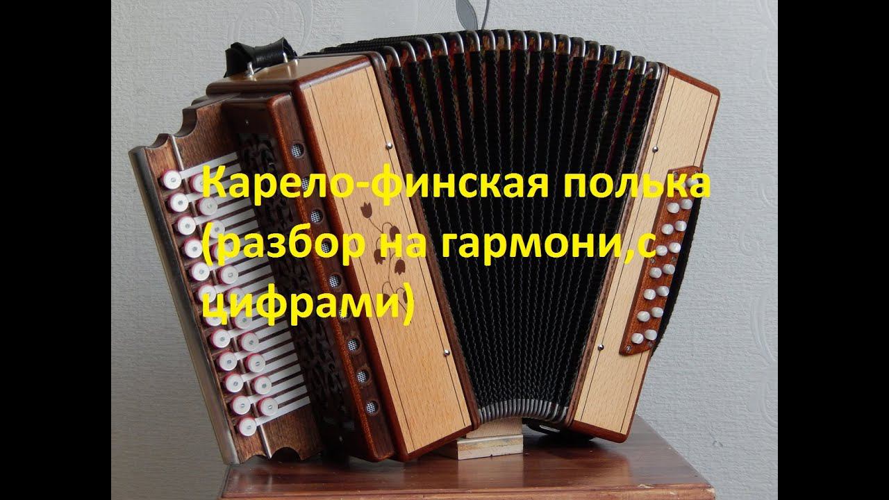 Карело-финская полька(разбор на гармони,с цифрами) смотреть онлайн