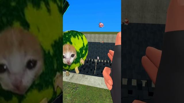 🔫 POW! HAHA! VS BANANA CAT MEME NEXTBOTS in BIG HOLE SHREDDER! #garrysmod #gmod смотреть онлайн