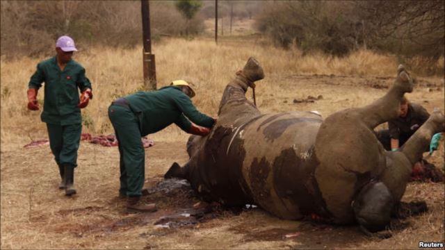 Trophy Hunting - Story with Subtitles смотреть онлайн