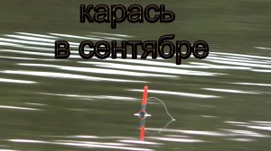 Рыбалка на карася в сентябре! Отличная рыбалка