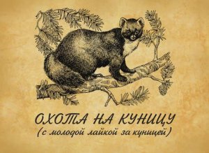 Охота на куницу