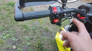 REGULMOTO DUKE 300 (175FMM) с ПТС