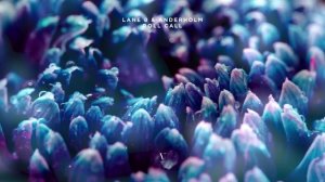 Lane 8 Anderholm - Roll Call