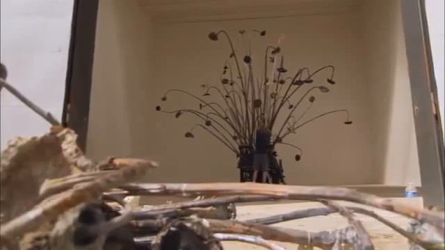 Anselm Kiefer - The German Painter And Sculptor - New Documentary