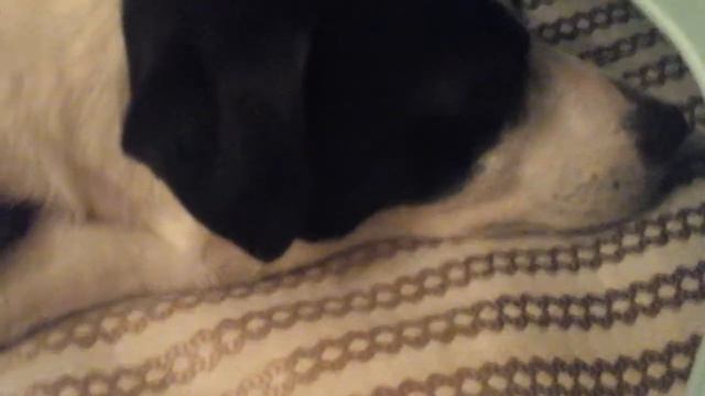 МОЁ 1 СЕНТЯБРЯ !!! ПЕРВЫЙ ДЕНЬ В ШКОЛЕ!!!/ТЕРРИ ДЖОНС. смотреть онлайн