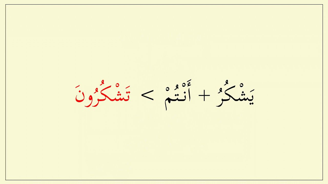 Глагол (تشكرون)