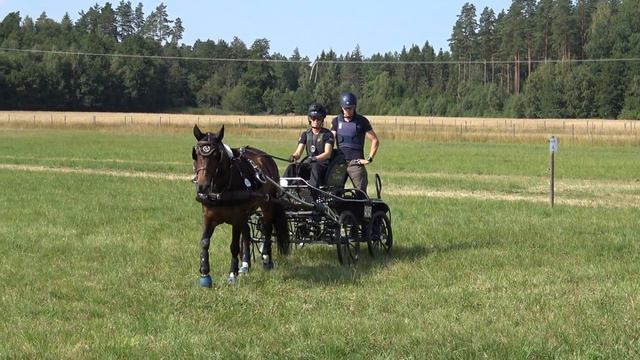 SM i körning 2018-07-21 - Anna Racking strax före start Maraton смотреть онлайн