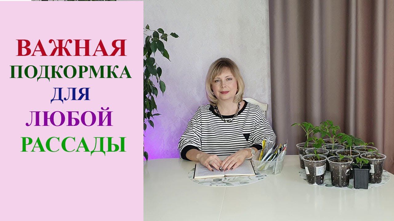 ВАЖНАЯ ПОДКОРМКА ДЛЯ ЛЮБОЙ РАССАДЫ. смотреть онлайн