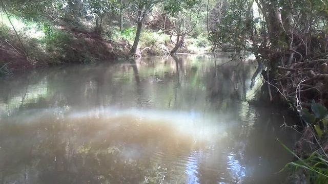 Bass on Surface Lure смотреть онлайн