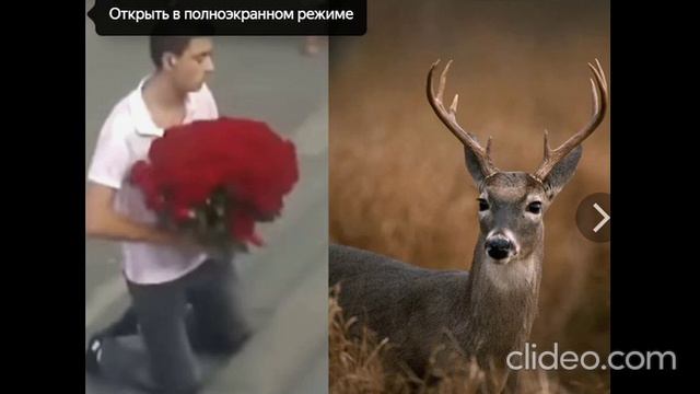 Проблемы мужчин в современной России. смотреть онлайн