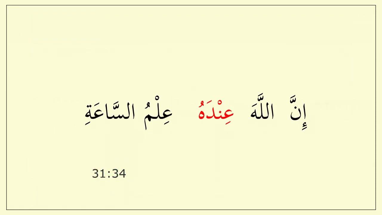 _014-3 Предложение в предложении