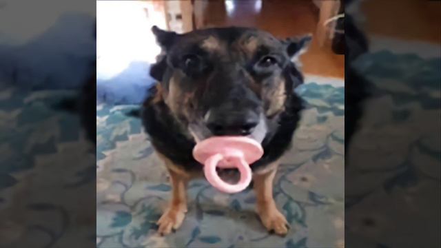 Oi Oi Oi Vs Beat Street Fighter (slowed)