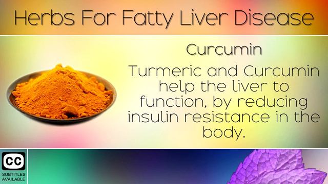 Top 10 Herbs for Fatty Liver Disease (Natural Remedies) смотреть онлайн